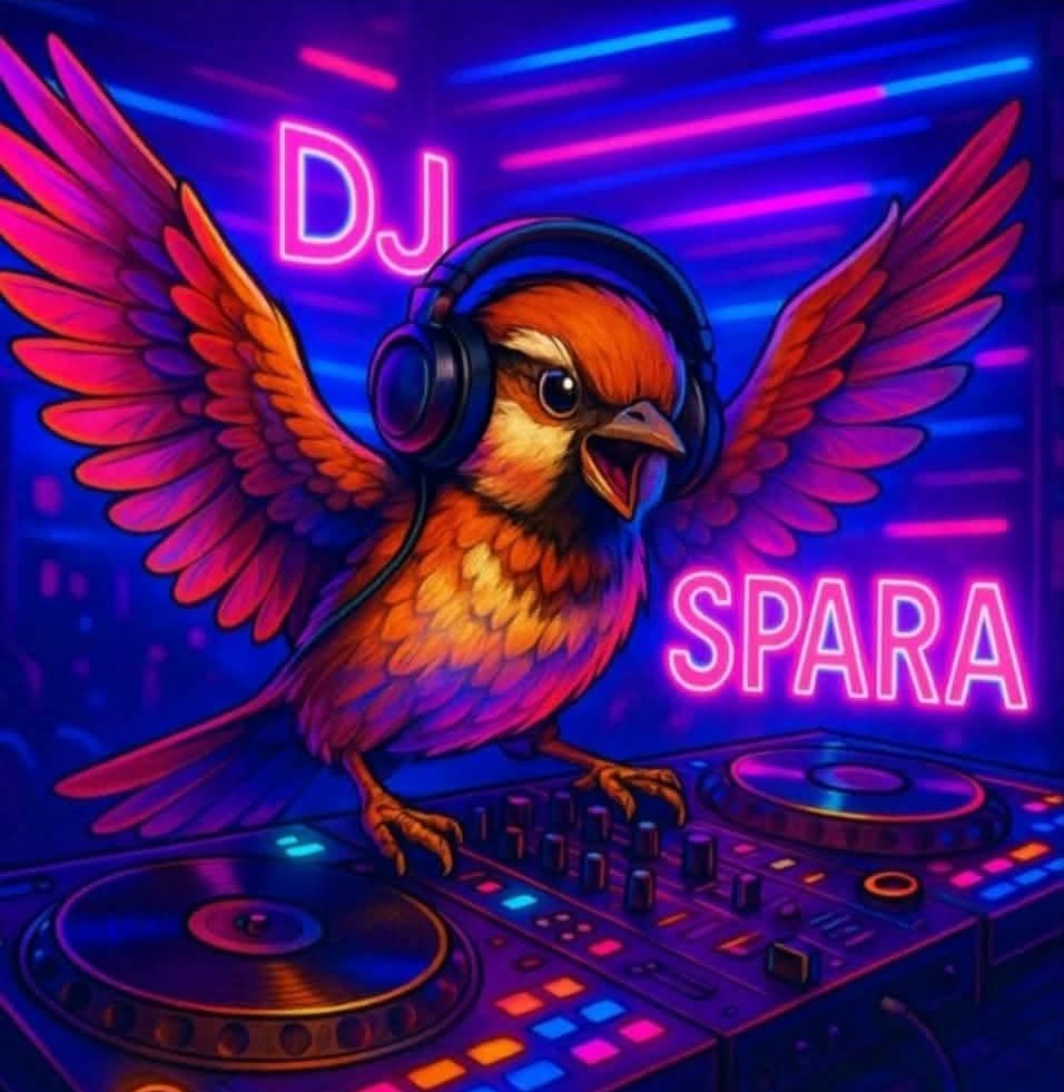 DJ Spara
